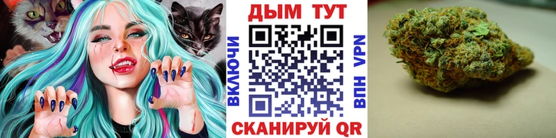 Где купить Новороссийск MDMA  А ПВП  Канабис  COCAIN 