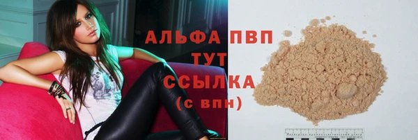 хмурый Дмитров