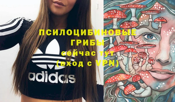 метамфетамин Аркадак