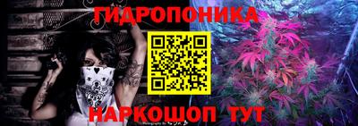 бошки Малгобек