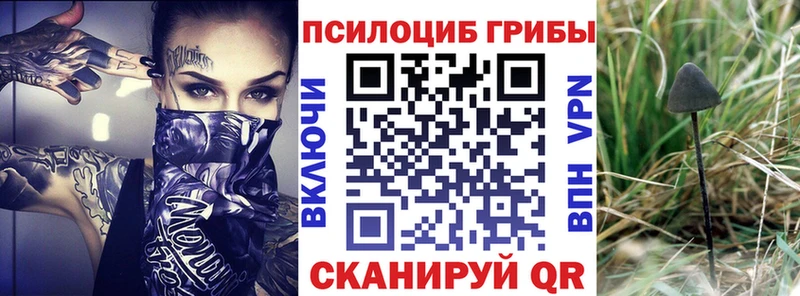 Галлюциногенные грибы MAGIC MUSHROOMS  Новороссийск 