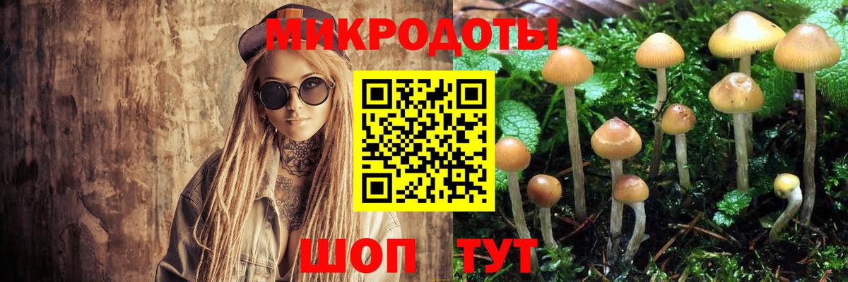 Галлюциногенные грибы прущие грибы Новороссийск