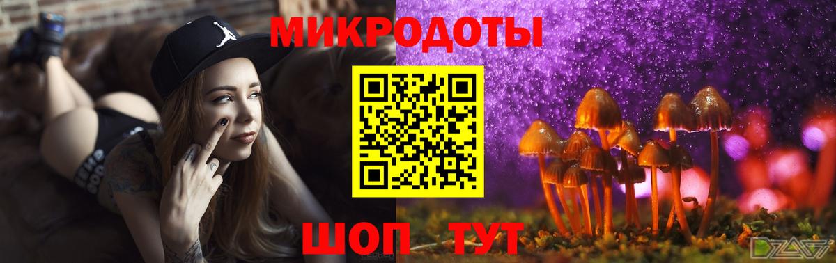 Галлюциногенные грибы Psilocybine cubensis  Галлюциногенные грибы Psilocybine cubensis  Новороссийск  Вход с VPN 